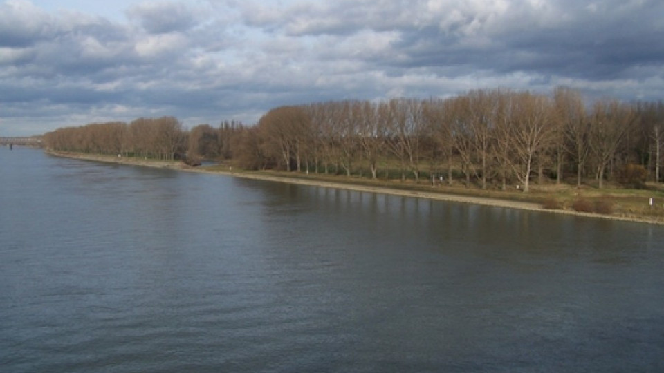 Мигрант спаси паднал в река Рейн | StandartNews.com