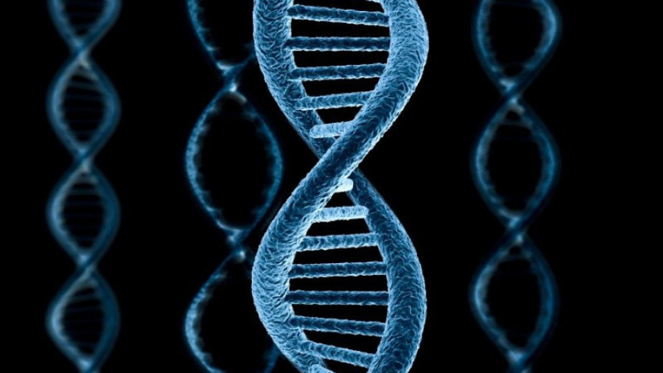 Чакат ДНК анализ на човешки останки в Добричко | StandartNews.com