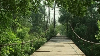 32 въжени мостове опасни в Южна България 