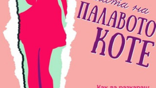 Божи се уреди с "палаво коте"