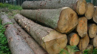 Проверки за пропуски в снабдяването на Церово с дърва
