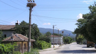 Село не ще тирове по нови улици