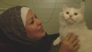 Котка бежанец намери семейството си в Норвегия