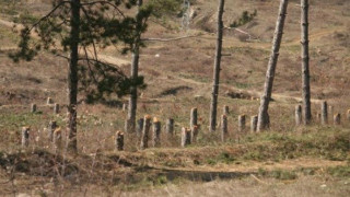 В Кърджалийско няма затворени обекти заради липса на камери
