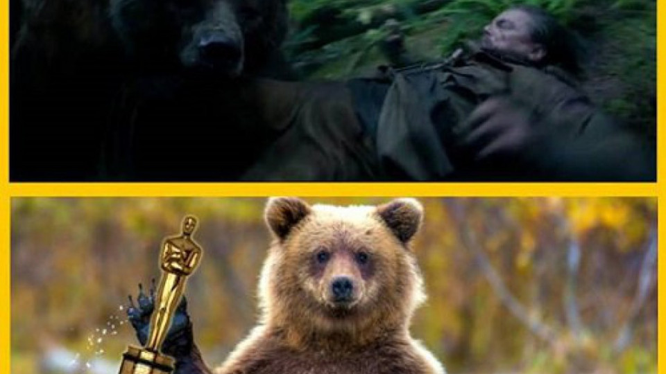 Лео и дългата битка за "Оскар" | StandartNews.com