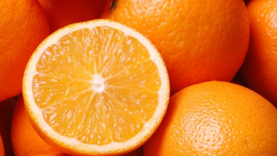 Връщат 19 тона портокали с неясен произход в Гърция | StandartNews.com