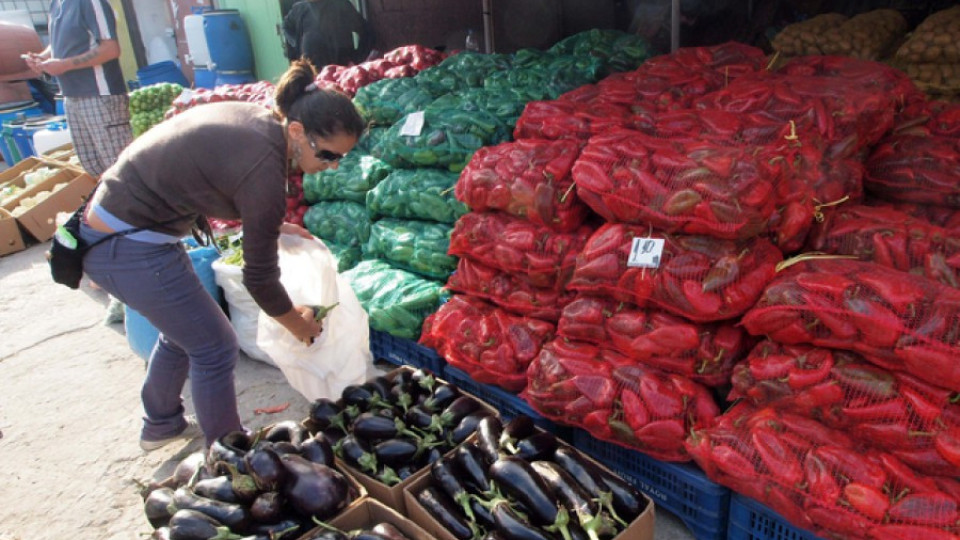 Изкупиха до 70% повече семена за зеленчуци | StandartNews.com