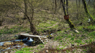 Сириец избра с. Скрът пред Германия