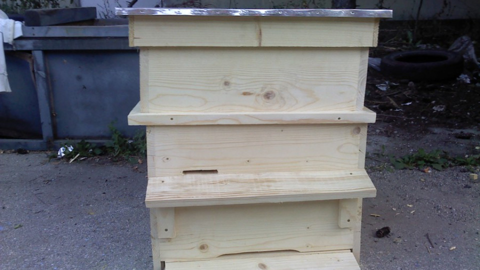 Задигнаха 22 кошера с пчелите | StandartNews.com
