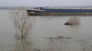 Дунав мина 7 м. при Лом започнаха наблюдение