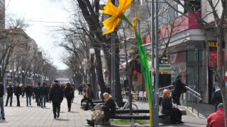 Двуметрови нарциси и кокичета поникнаха в Бургас