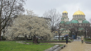 Дъждовна неделя 