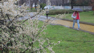 Седмицата почва с дъжд и малко сняг 