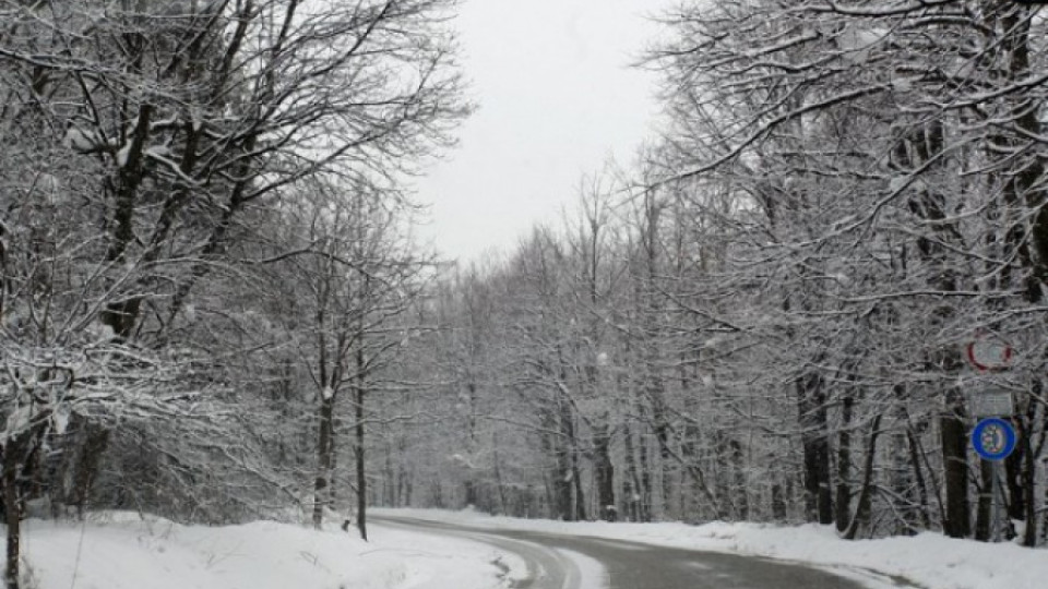 20 сантиметра сняг в Родопите | StandartNews.com