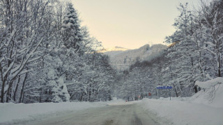 Дунав спадна, но напрежението около нивото му остава