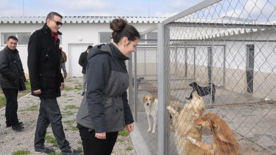 Над 100 видинчани посетиха приюта за кучета | StandartNews.com