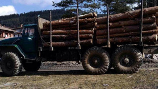 Резерват продава дърва чрез онлайн наддаване