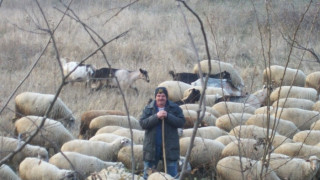 Нощна стража за овцете заради Великден