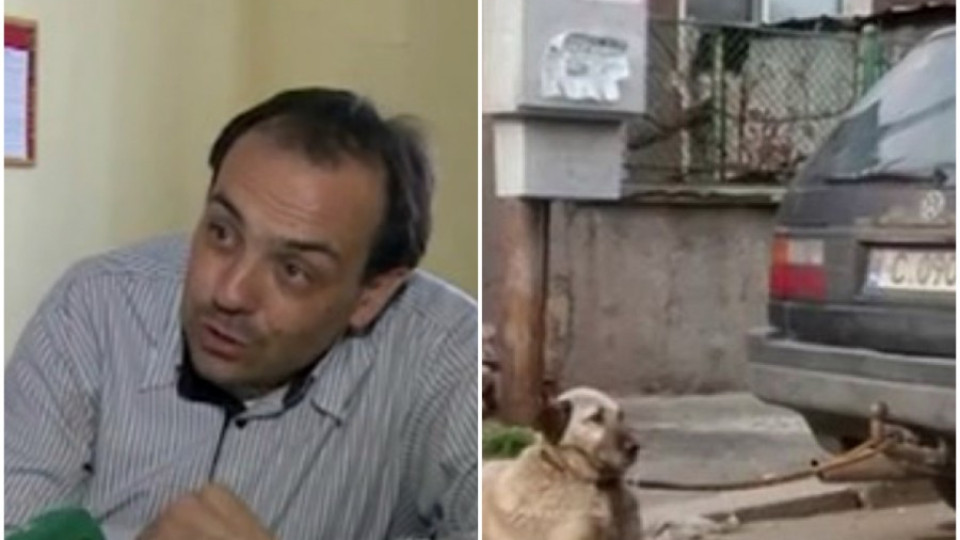 Мъжът, влачил куче: Забравих, че съм го вързал за теглича | StandartNews.com