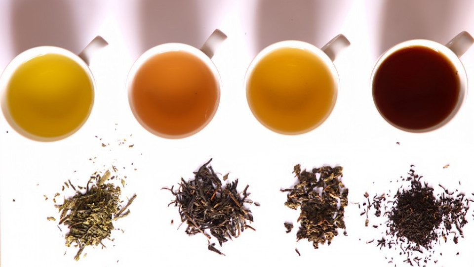 Зумба и чай на мегдана за здраве | StandartNews.com