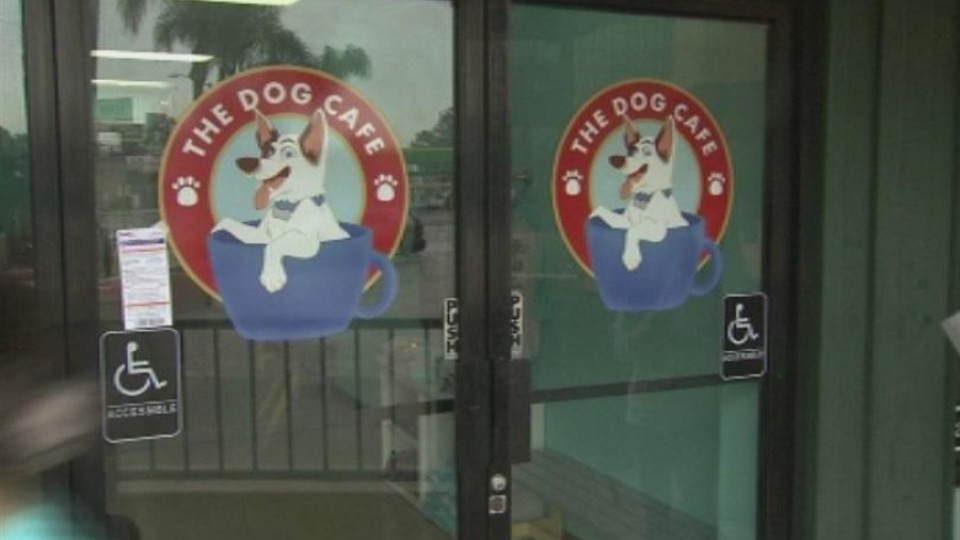 Откриха кафене с кучета в Лос Анджелис | StandartNews.com