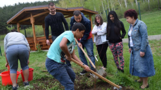 Младежи садиха дървета в социален дом
