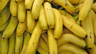 Пуснаха банани "Made in BG"