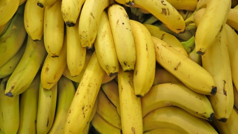 Пуснаха банани "Made in BG" | StandartNews.com