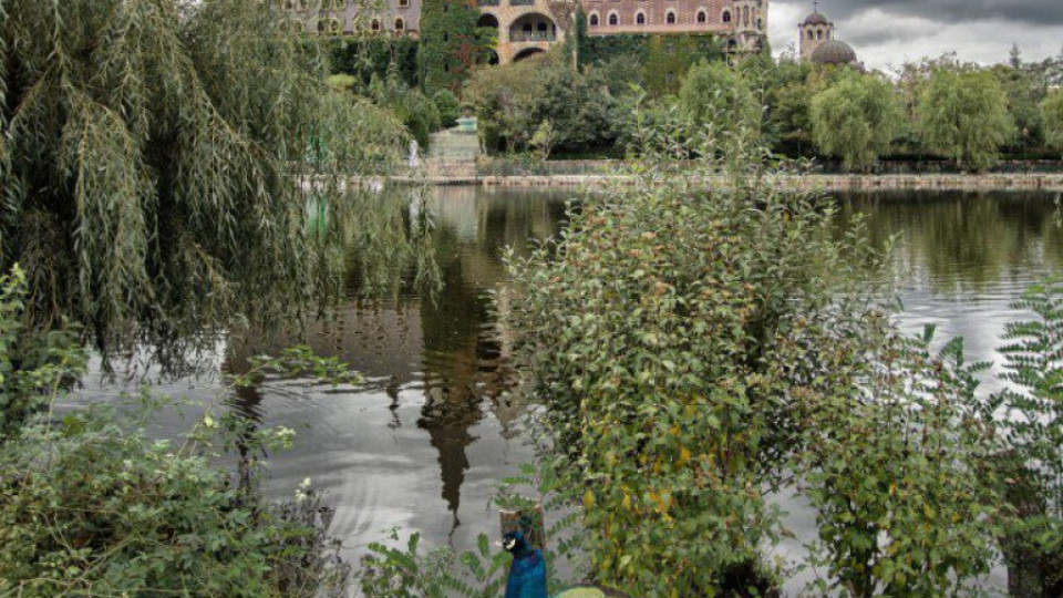 Замъкът в Равадиново стана №1 в света | StandartNews.com