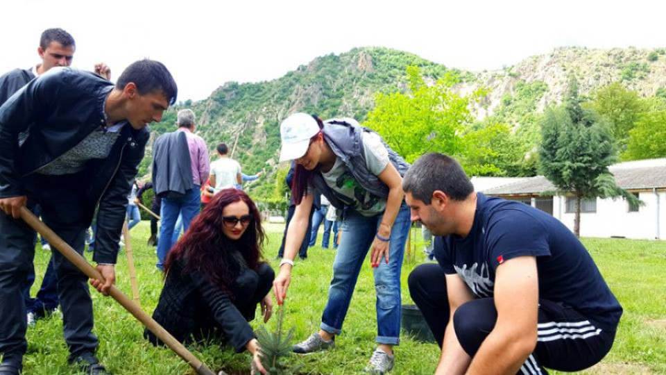 Младежи от ГЕРБ засадиха дървета край храма на Ванга | StandartNews.com