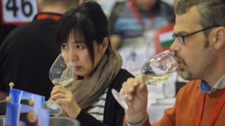 Рекорден брой участници в „Световното“ по вино