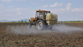 Дъждове и градушки съсипват реколтата