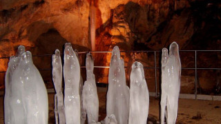 Пещерняци ще чистят "Леденика"