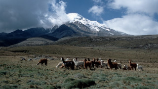 Най-високият връх е в Еквадор