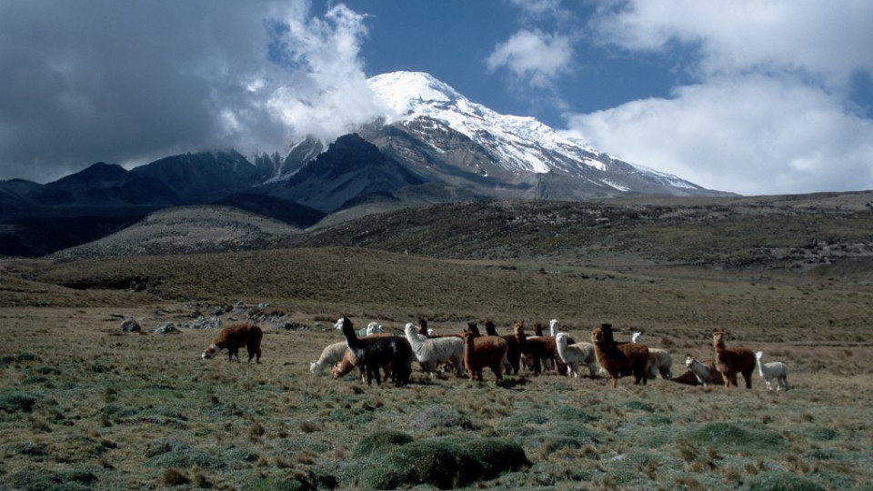 Най-високият връх е в Еквадор | StandartNews.com