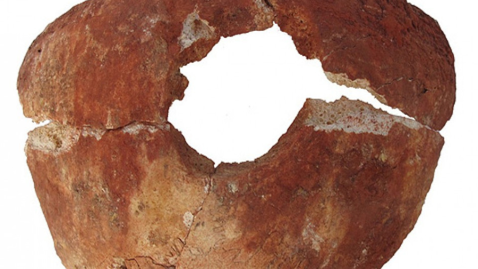 Откриха 13 древни черепа с необичайни отвори | StandartNews.com