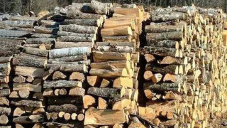 Масово затварят складове за дървесина