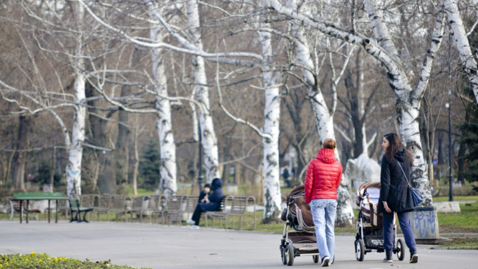 Помощ за родителите, гледащи деца с увреждания | StandartNews.com