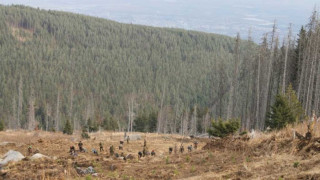 Горски в битка за най-добър секач