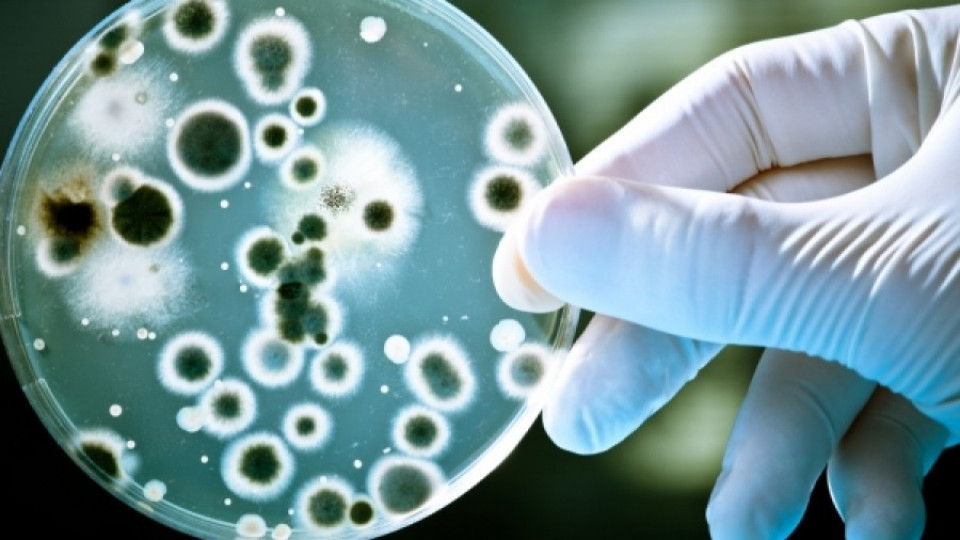 Разболяват ни бактерии мутанти  | StandartNews.com