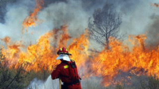 Пожарите в Кипър се разрастват
