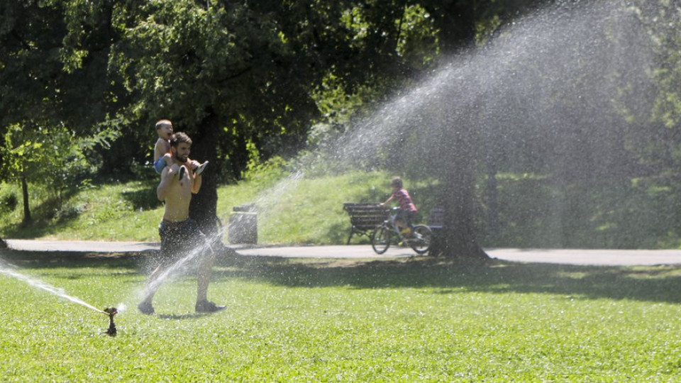 Кмет забрани да се полива с питейна вода | StandartNews.com