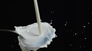 Субсидии за животни срещу фактури за продадено мляко