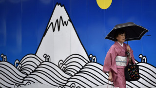 Жегата в Япония прати над 500 души в болниците