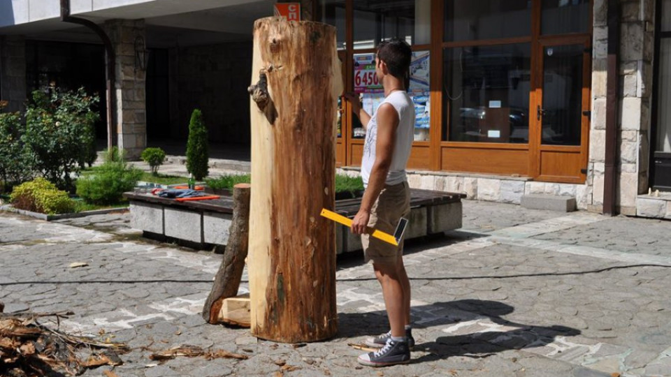 Младежи ваят скулптури в Банско | StandartNews.com