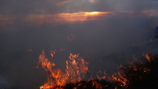 Голям пожар вдигна по тревога огнеборци в Благоевградско