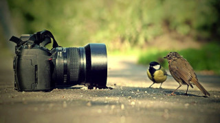 Фотоапарат заснема изгарянето на неврони