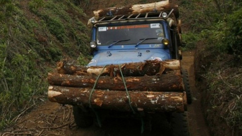 Спипаха горски да продава дърва | StandartNews.com