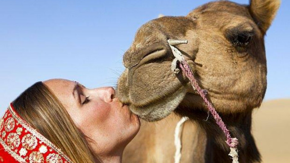 Учени: Жените са на ниво камили | StandartNews.com