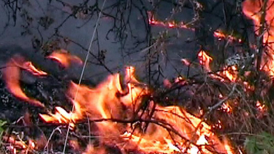Пожарът край Ардино е локализиран | StandartNews.com